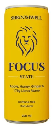 SHROOMWELL NAPÓJ GAZOWANY NA KONCENTRACJĘ Z SOPLÓWKĄ JEŻOWATĄ 250 ml