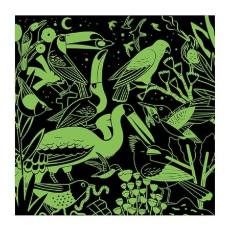 Mudpuppy Puzzle rodzinne świecące w ciemności Ptaki 500 elementów 8+