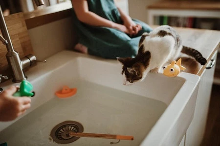 Janod Zestaw do wędkowania w kąpieli 2+