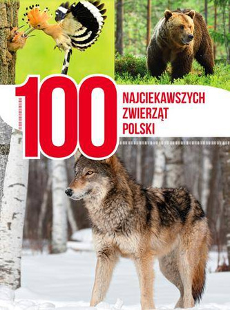 100 najciekawszych zwierząt polski - Opracowanie Zbiorowe
